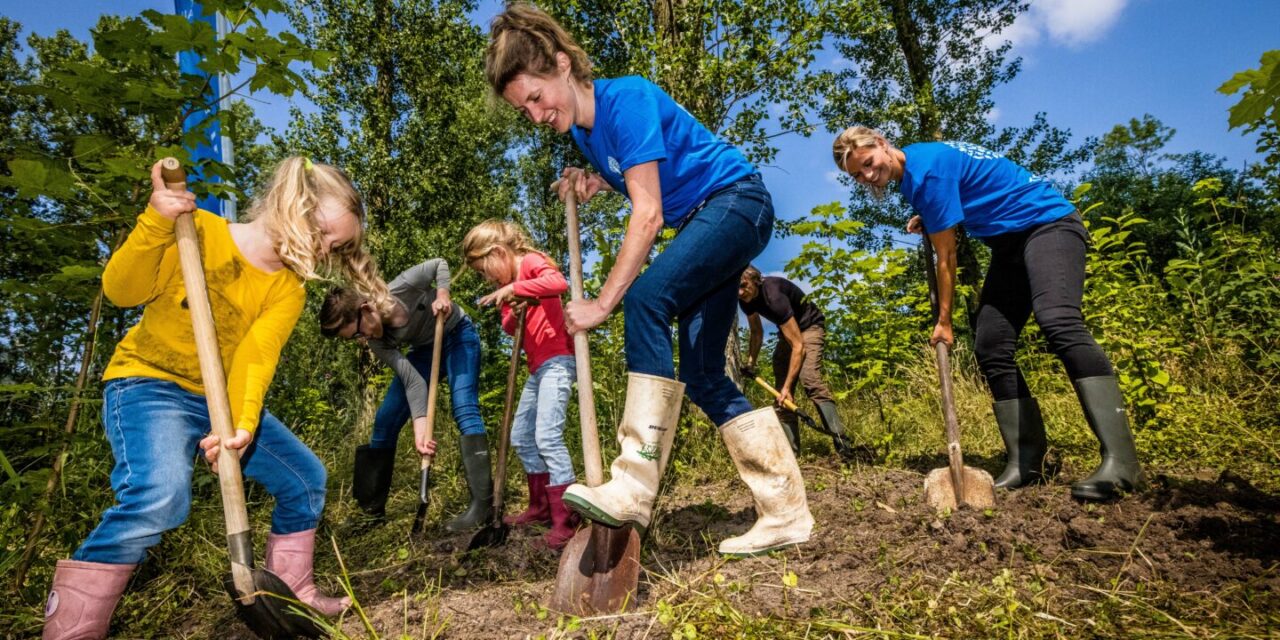 VDMS ontvangt Trees for All certificaat