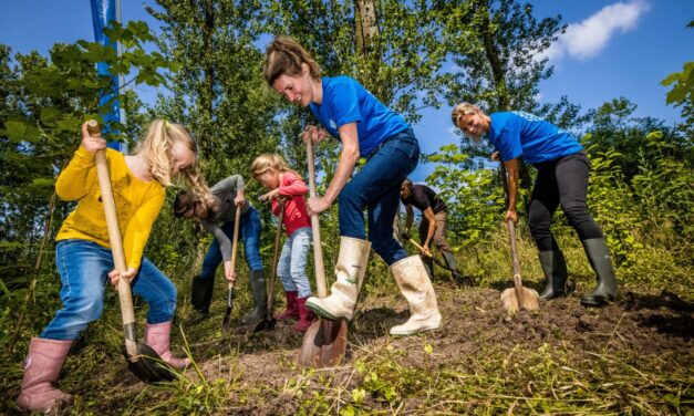 VDMS ontvangt Trees for All certificaat