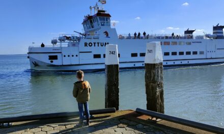 Duurzame veerdiensten onder druk door dure biodiesel